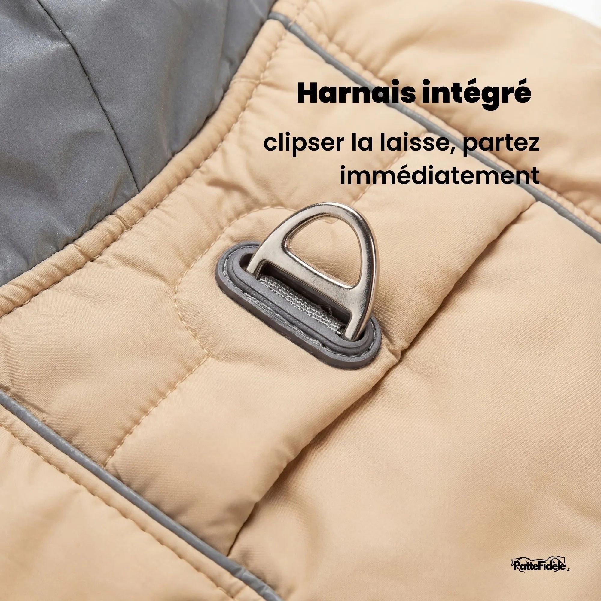 Zoom sur le système de harnais intégré avec anneau en D robuste sur le dos du manteau pour chien. Attache laisse directe.