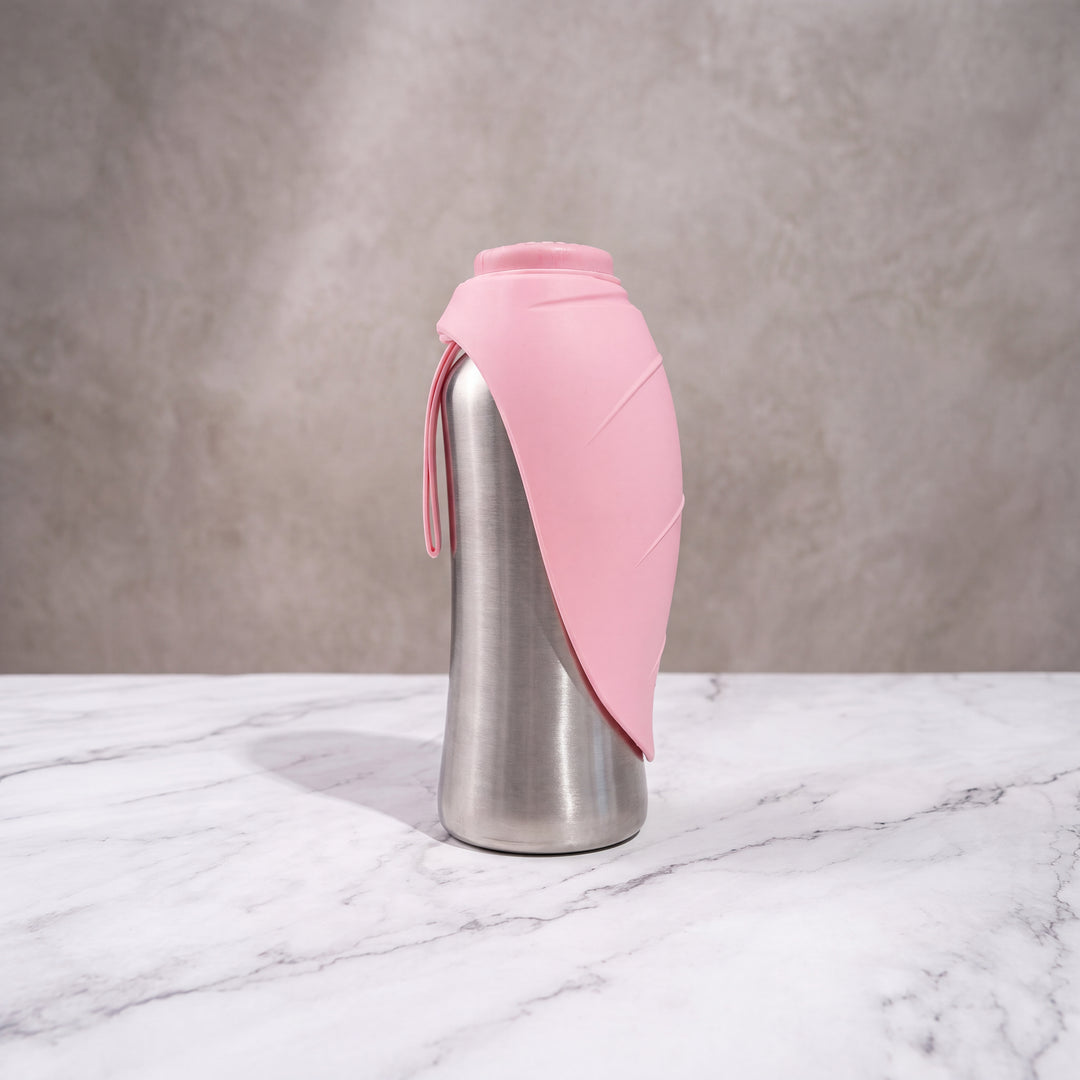 Gourde isotherme pour chien rose poudré et acier inoxydable de 750ml debout, feuille en silicone refermée.