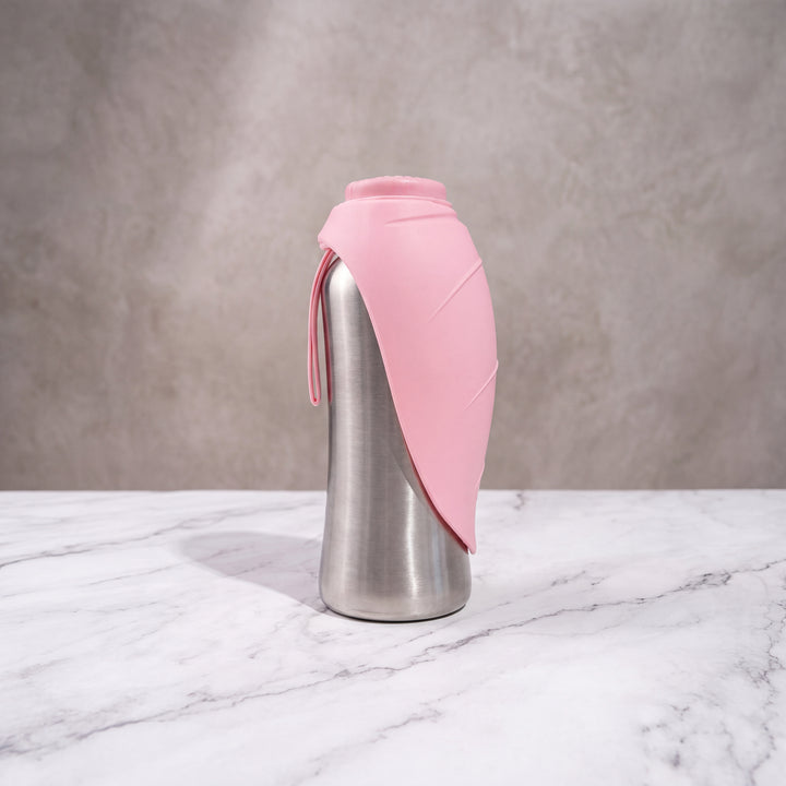 Gourde isotherme pour chien rose poudré et acier inoxydable de 750ml debout, feuille en silicone refermée.