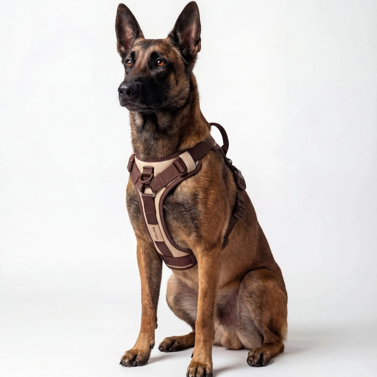 Vue de côté du harnais ajustable, facile à mettre et à enlever.
