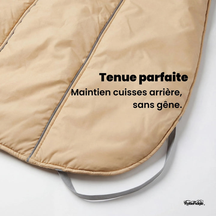 Arrière du manteau pour chien avec élastiques de maintien aux cuisses pour empêcher le vêtement de glisser pendant la marche.