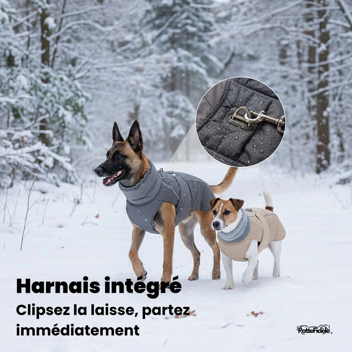 Manteau pour chien avec harnais intégré : zoom sur l'anneau d'attache métallique robuste permettant de clipser la laisse directement.
