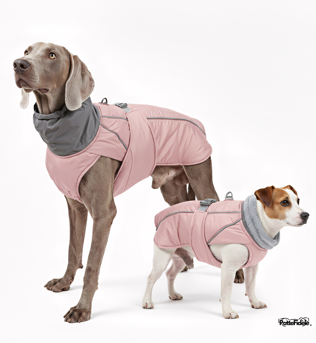 Manteau imperméable pour chien couleur rose porté par grand et petit chien. Vêtement de pluie feminin et visible.
