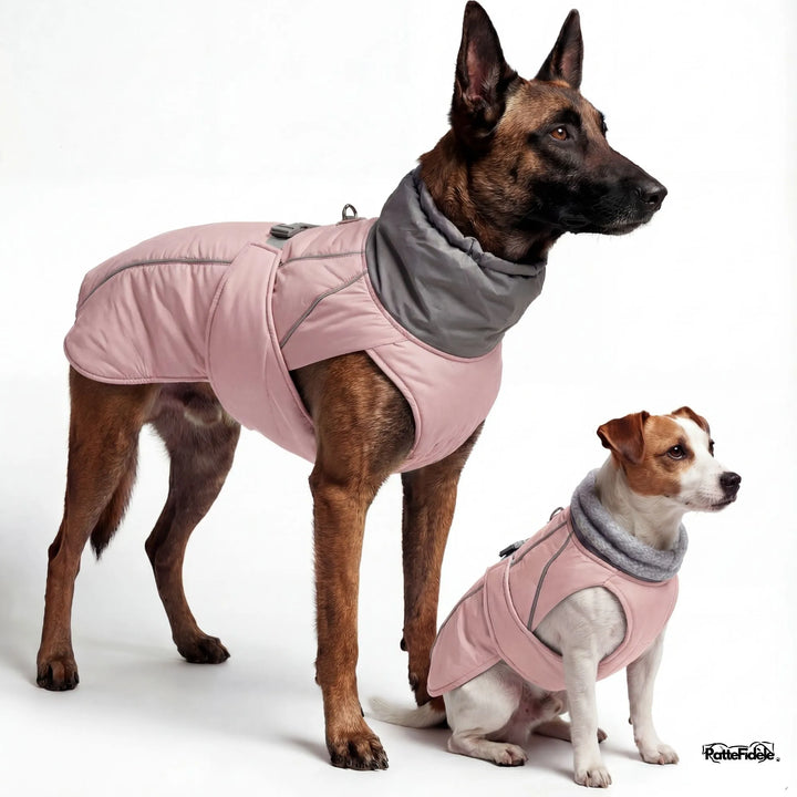 Manteau imperméable pour chien couleur rose porté par grand et petit chien. Vêtement de pluie feminin et visible.