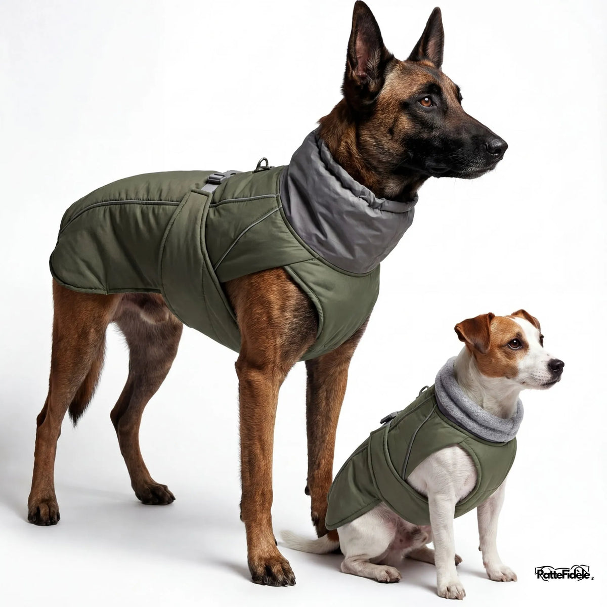 Manteau imperméable pour chien vert kaki style chasse ou randonnée. Protection outdoor résistante et durable.