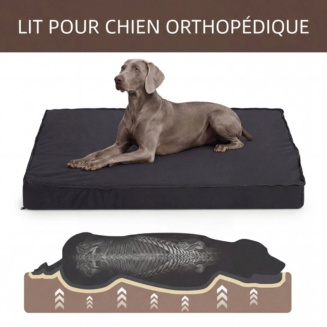 Chien de race Braque de Weimar sur un lit orthopédique illustrant le soutien optimal de la colonne vertébrale.