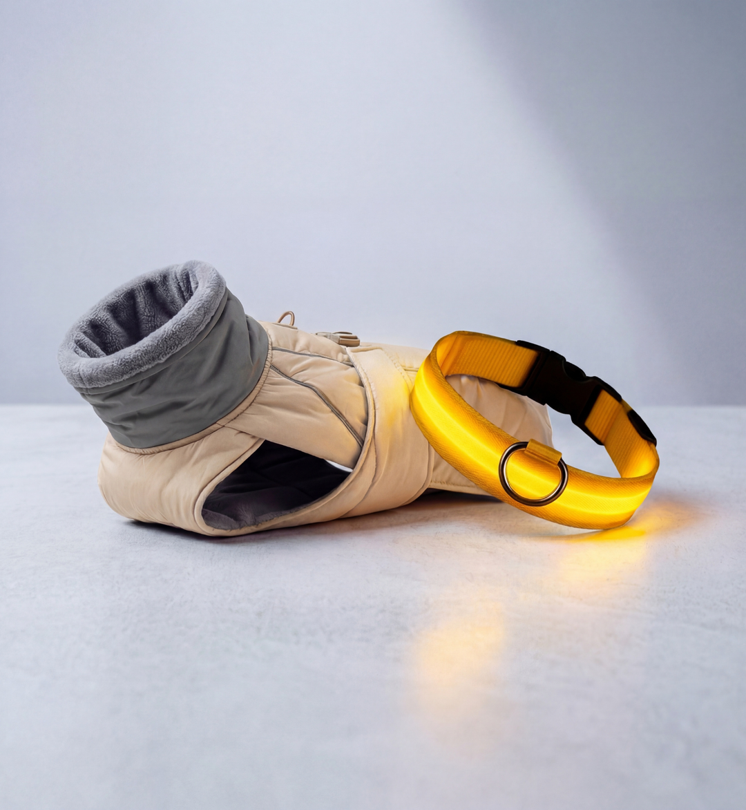 Pack Sécurité & Chaleur : Manteau Polaire + Collier LED