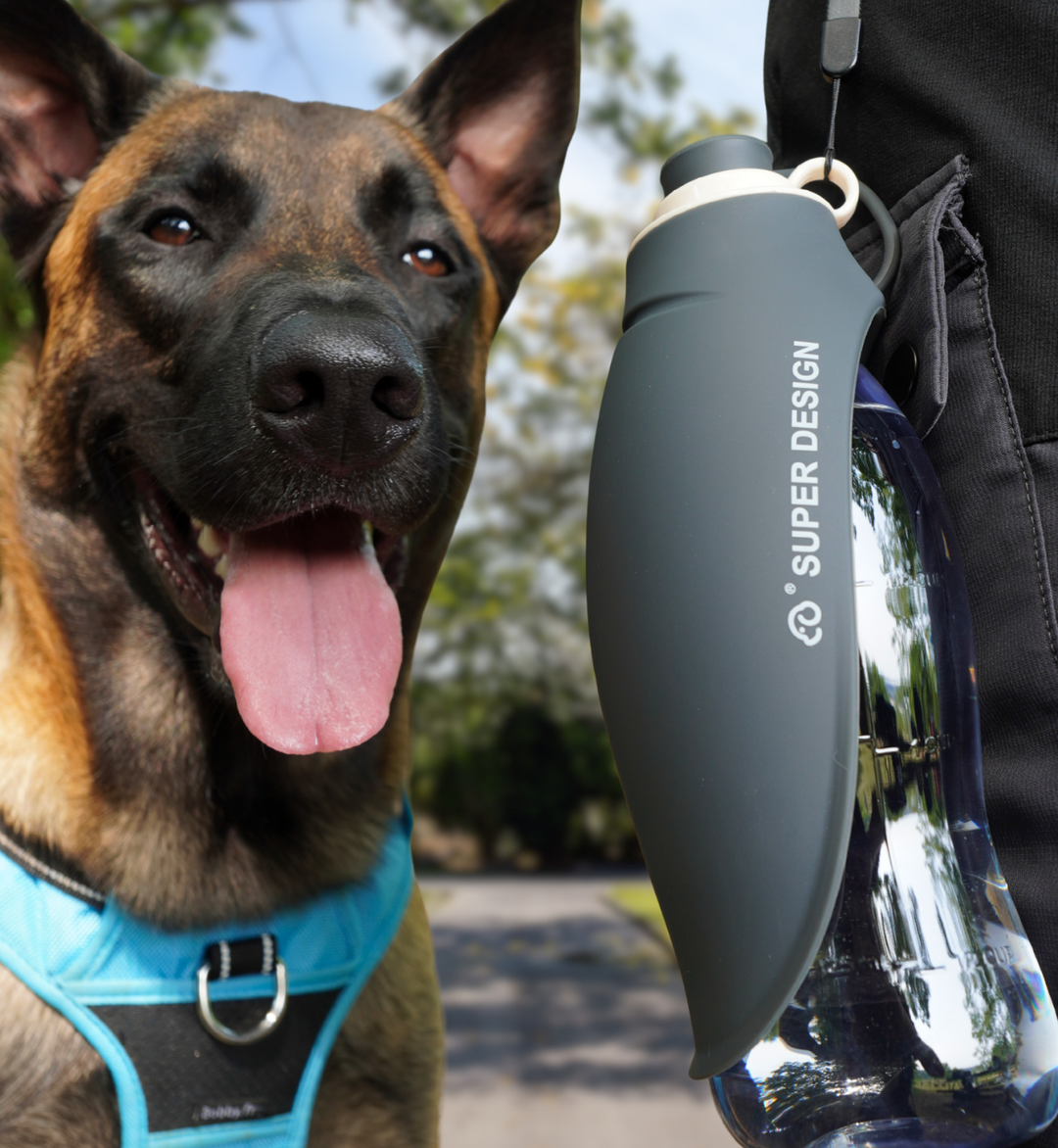 gourde pour chien noire 580 ml, bol intégré, vue de face