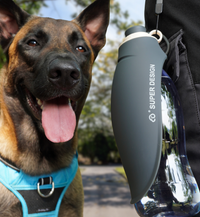 Gourde pour chien anti-fuite - 580ml