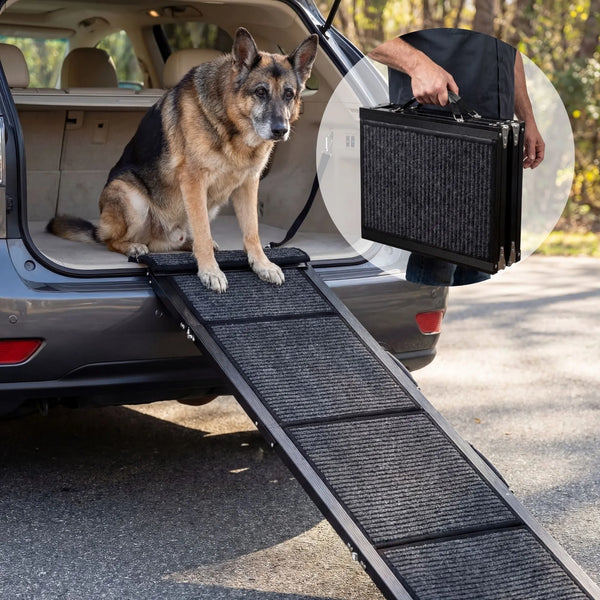 Rampe d'Accès Chien Voiture - Système Pliable Renforcé (Protection Articulations)