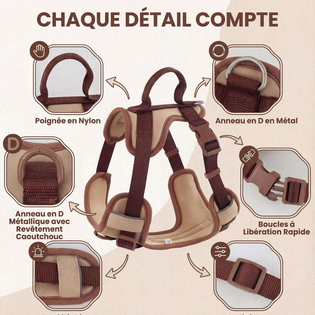Schéma technique du harnais PatteFidèle : Anneau en D métallique, tissu respirant, boucles à libération rapide et réglage 4 points.
