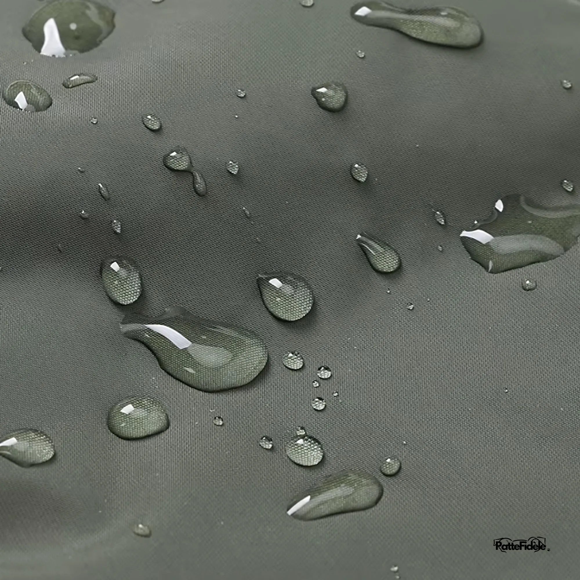 Gros plan sur la texture du manteau pour chien montrant l'effet déperlant et imperméable avec des gouttes d'eau qui perlent à la surface.